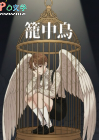 《笼中鸟》原唱伴奏